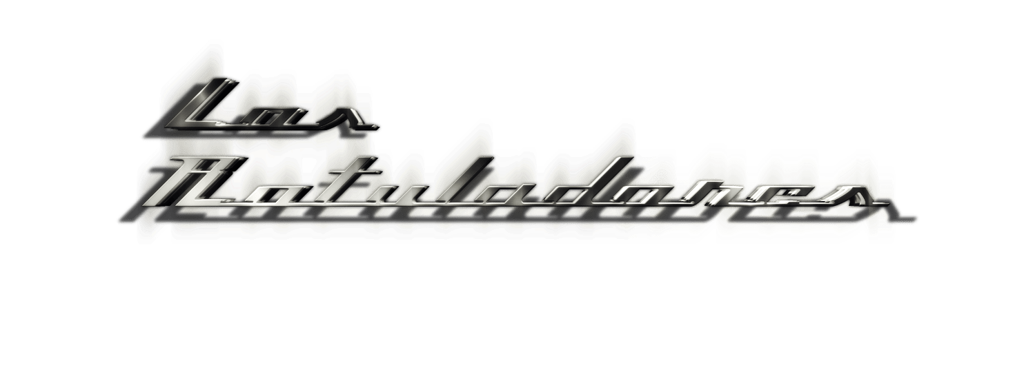 rotulacion de vehiculos